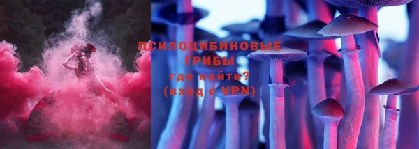 эйфоретик Вязьма