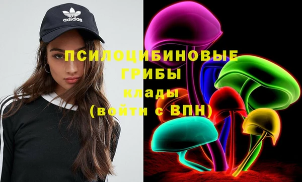 эйфоретик Вязьма